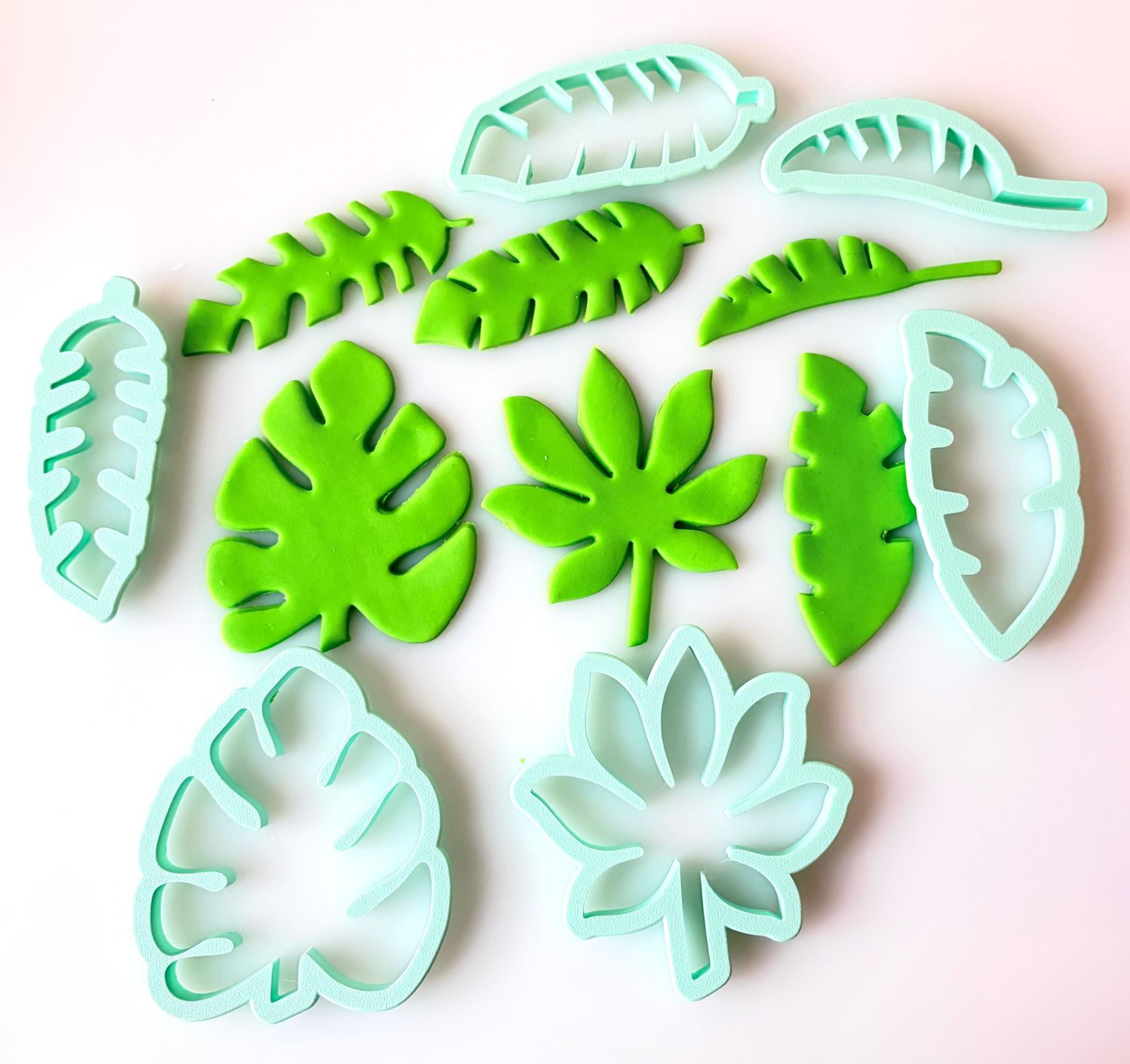 CBS Σετ 6 τμχ. κουπ πάτ Τροπικά Φύλλα. Set of 6 TROPICAL LEAF CUTTERS
