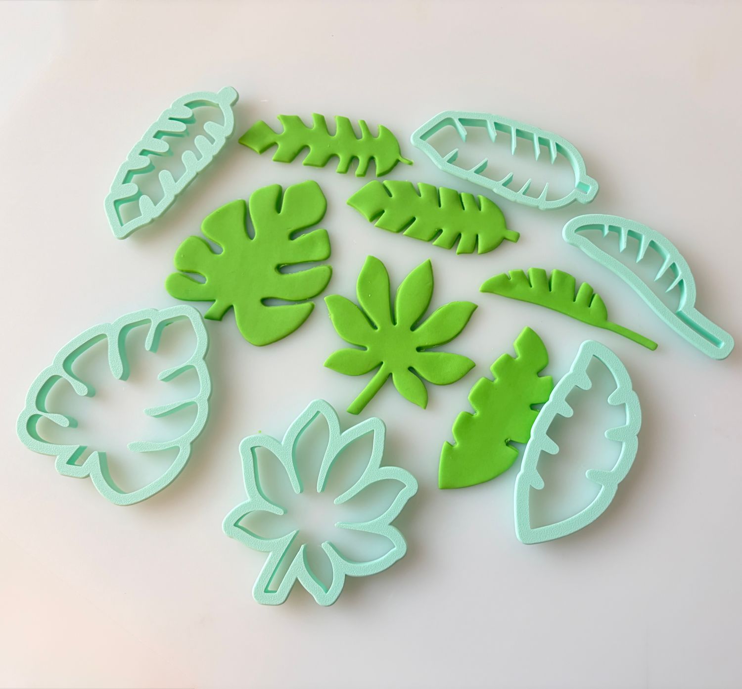 CBS Σετ 6 τμχ. κουπ πάτ Τροπικά Φύλλα. Set of 6 TROPICAL LEAF CUTTERS