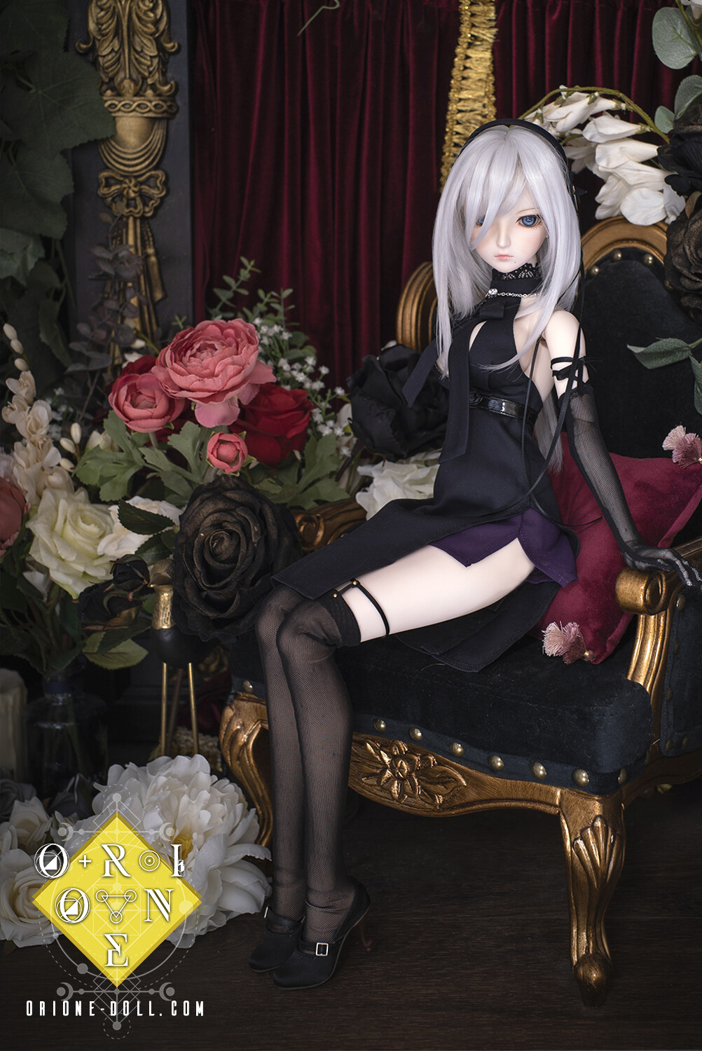 [DD L Bust/DDdy] Morning Star - Black