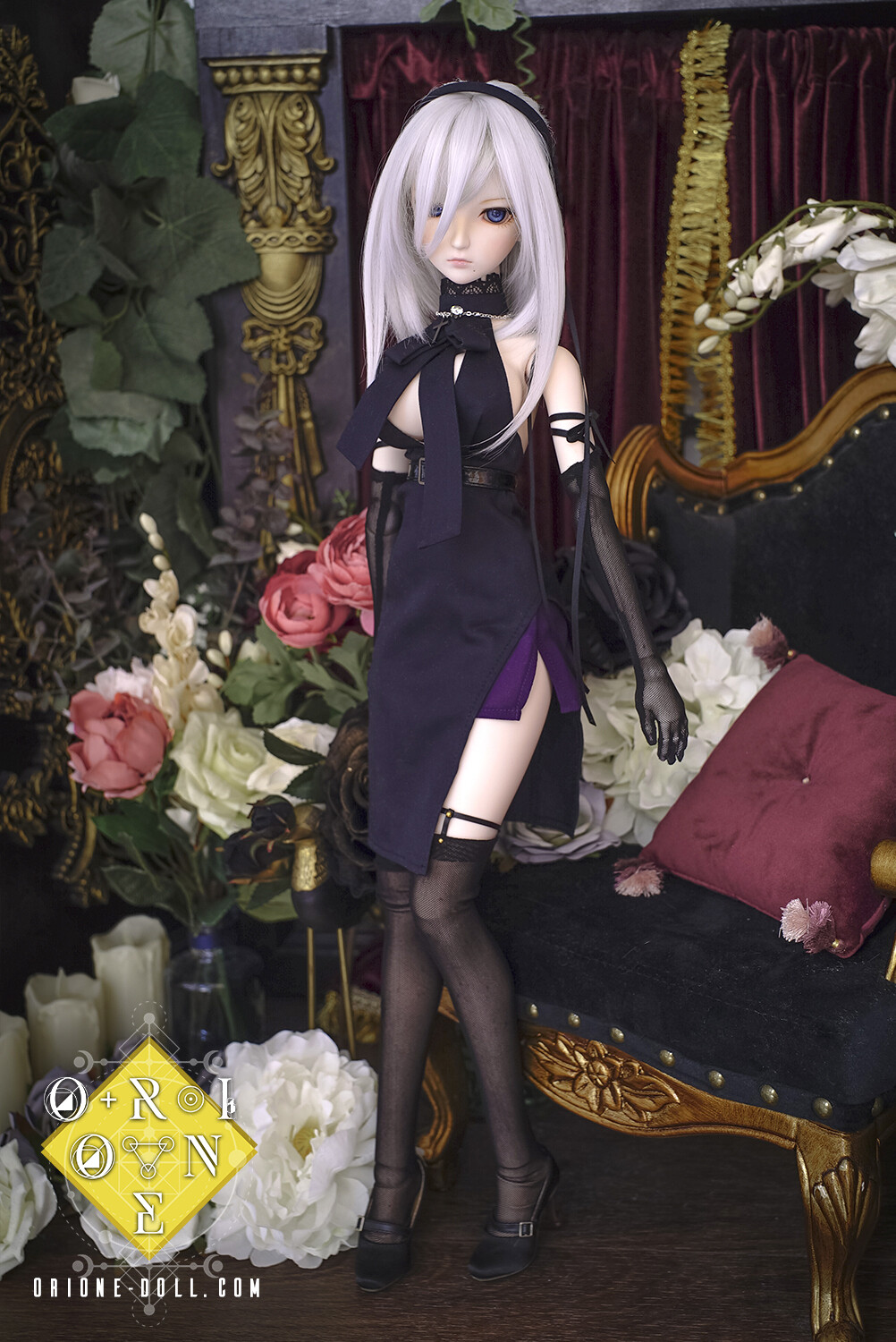 [DD L Bust/DDdy] Morning Star - Black