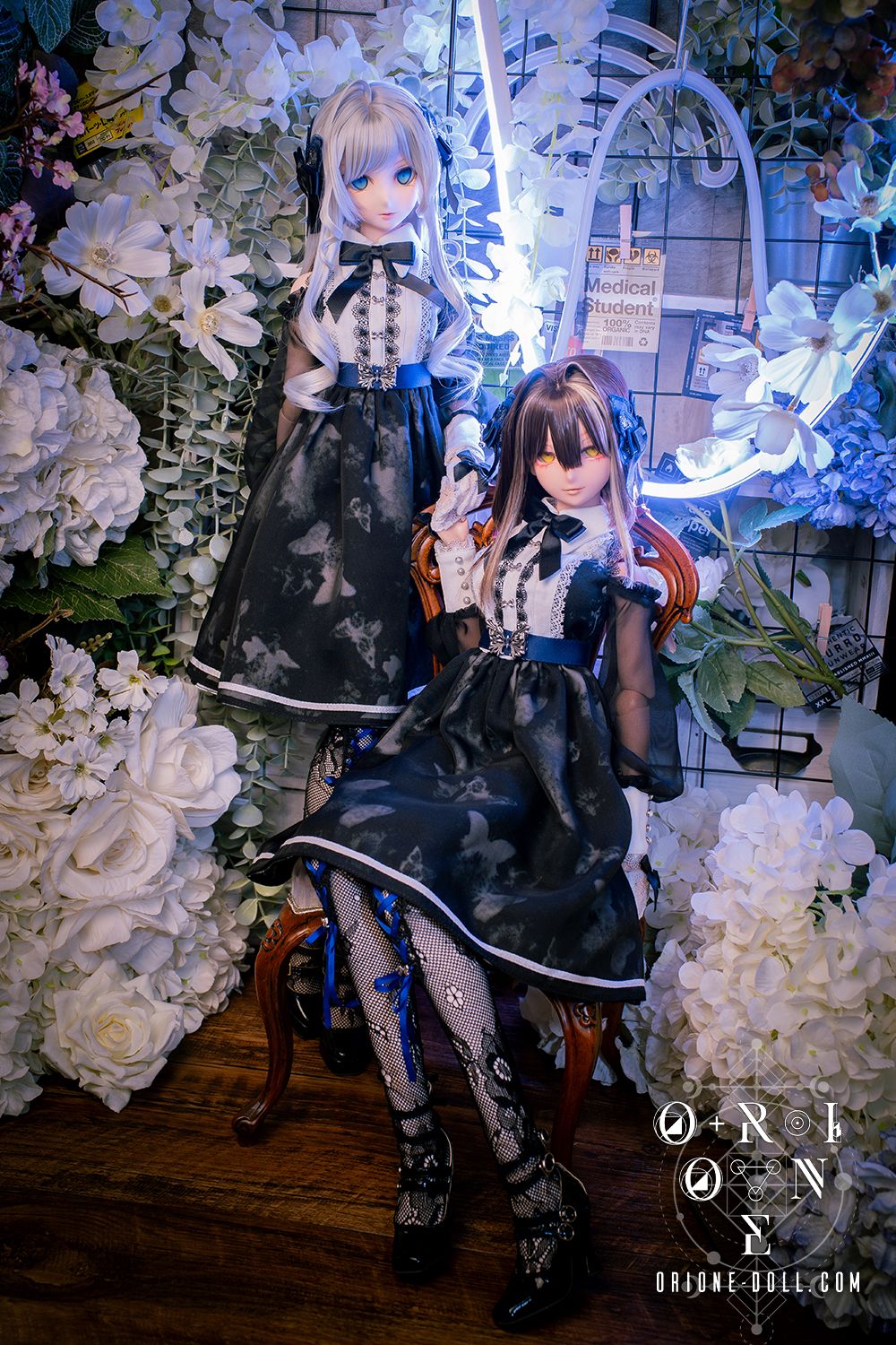 [DDL/DDdy] Blue-Morpho Butterfly