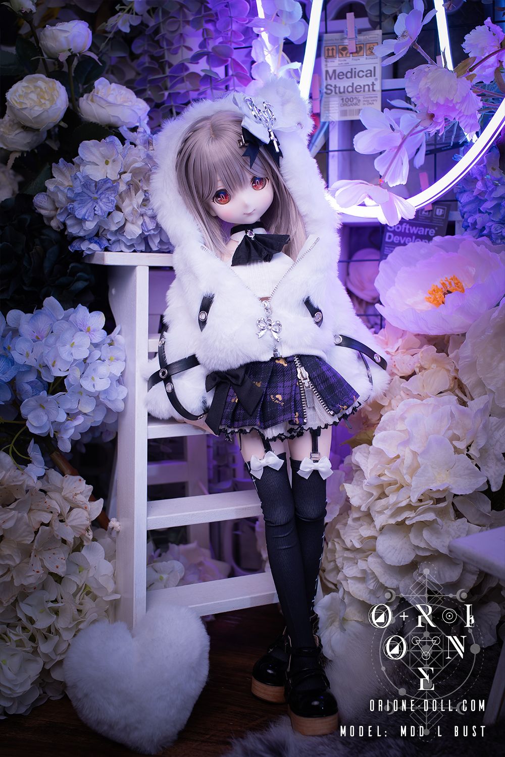 [MDD M/L] Ursa Minor