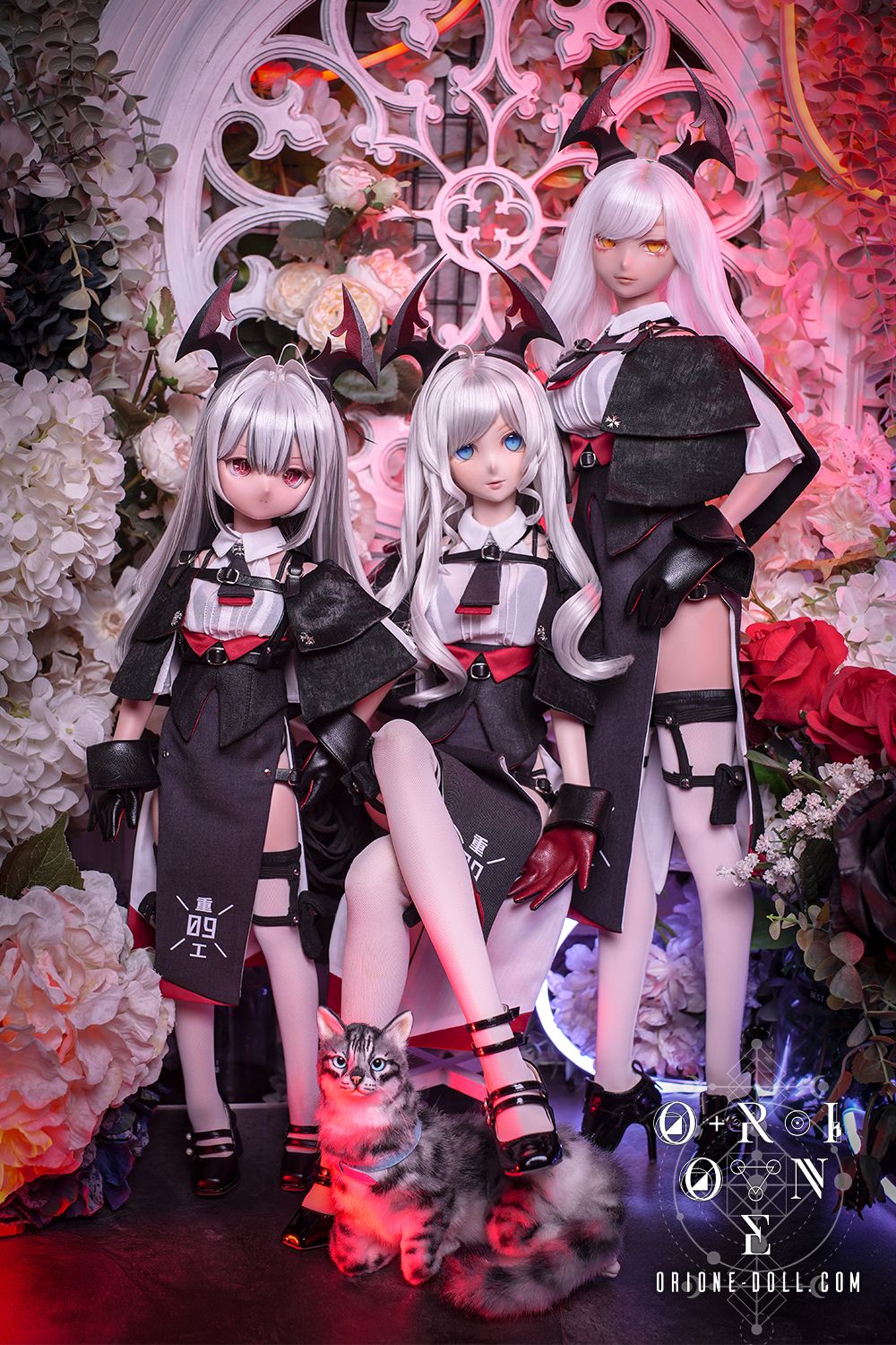 [DD M/L, DDdy, MDD] THE BOSS