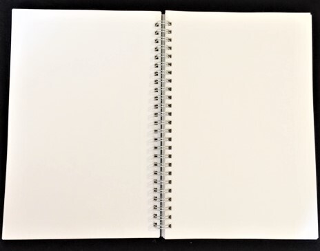 100 page Journal
