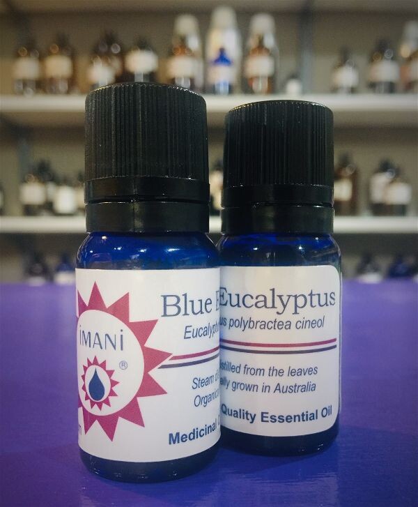 Eucalyptus, Blue