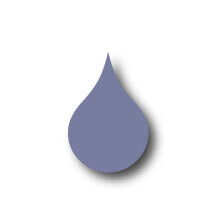 Camphor