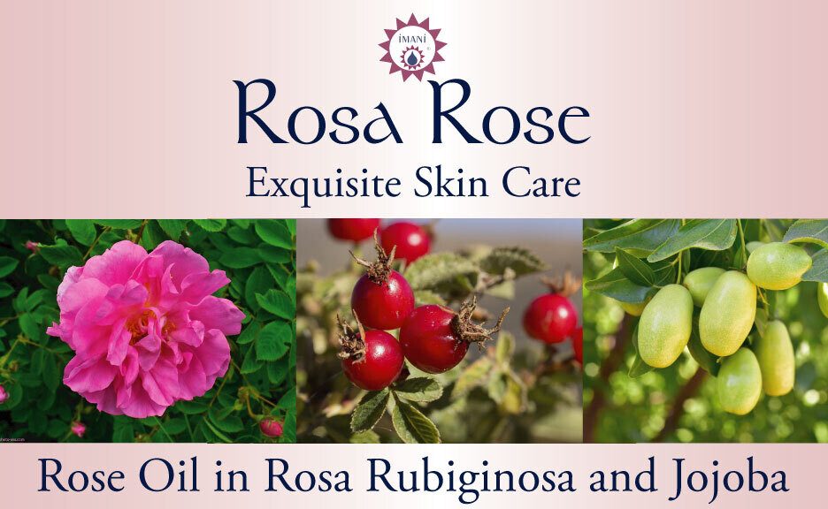 Rosa Rose