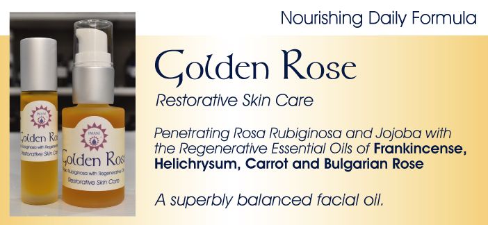 Golden Rose