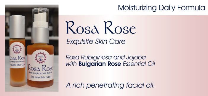 Rosa Rose