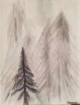 Snow Pine