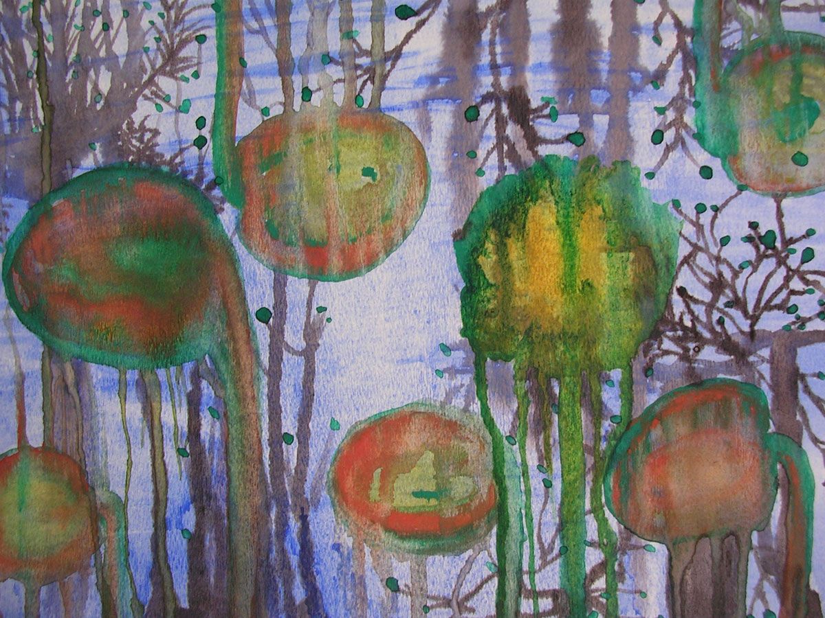 Lily Pond
