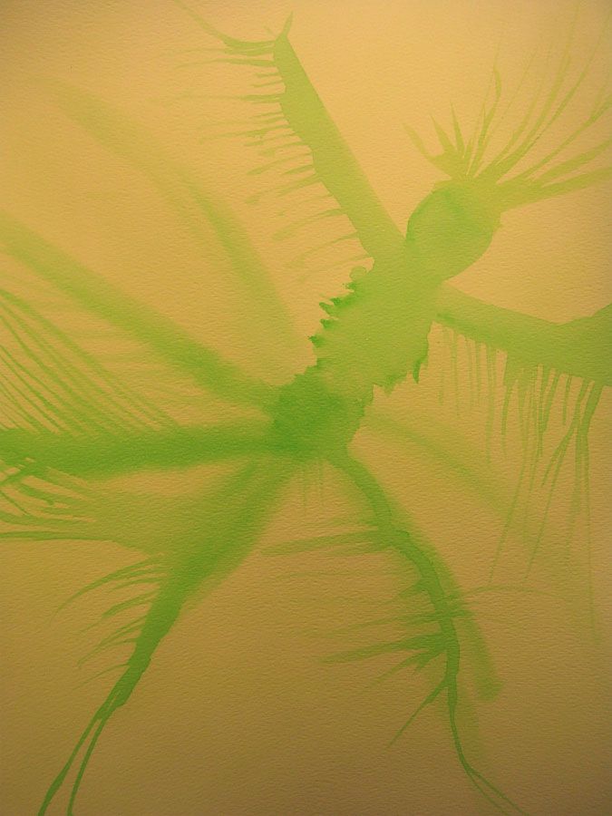 Grasshopper