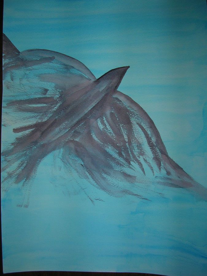 Dove