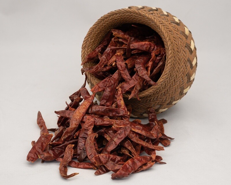 Arbol Chile