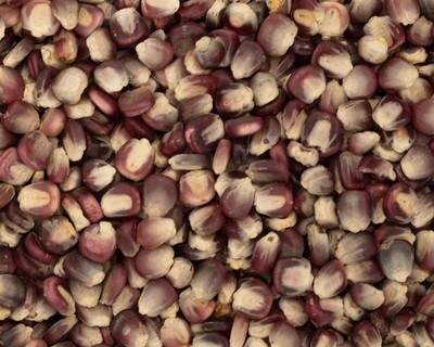 Heirloom Red Corn Kernels (Non GMO)