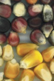 Mixed Corn Products