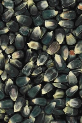 Blue Corn Products