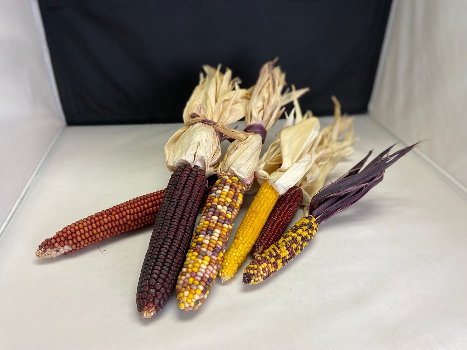 Decorative Corn-Small