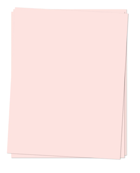 C&amp;9 CARDSTOCK- BALLET SLIPPER