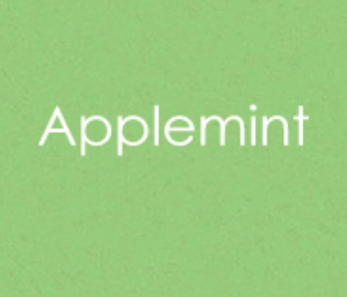 GINA K CARDSTOCK- APPLEMINT