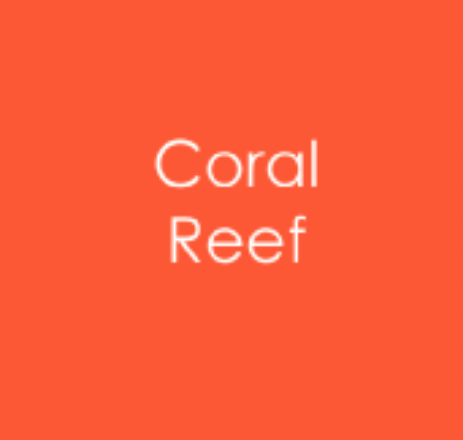 GINA K CARDSTOCK- CORAL REEF