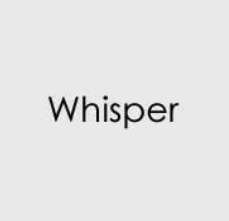 GINA K CARDSTOCK- WHISPER