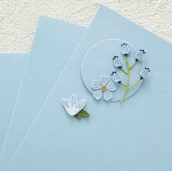 SB CARDSTOCK- RAINDROP