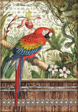 STAMPERIA DECOUPAGE RICE PAPER- AMAZONIA PARROT