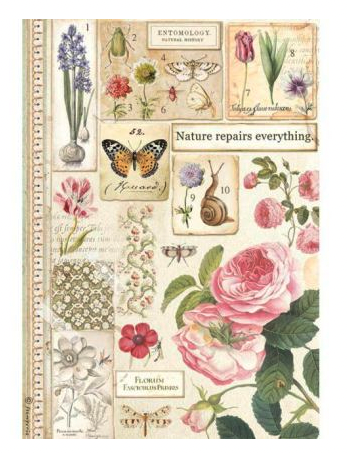 STAMPERIA DECOUPAGE RICE PAPER- BOTANIC