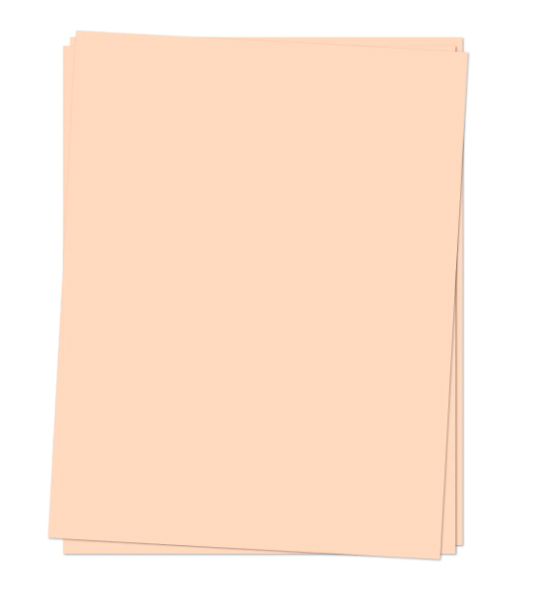 C&amp;9 CARDSTOCK- NECTAR