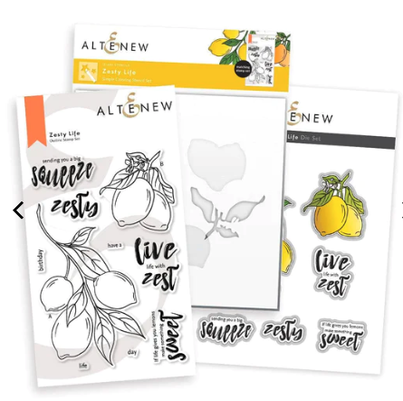 ALT STAMP, DIE, AND STENCIL BUNDLE- ZESTY LIFE