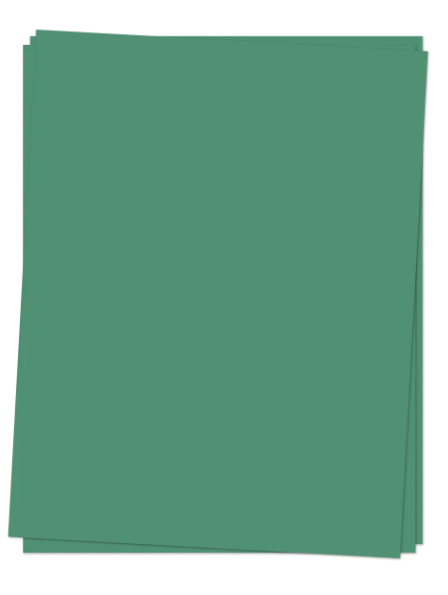 C&amp;9 CARDSTOCK- JUNIPER