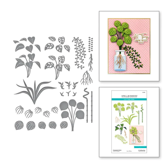SB DIES- PROPAGATED PLANTS