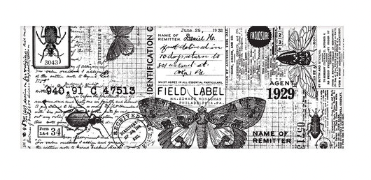 TH COLLAGE PAPER ENTEMOLOGY