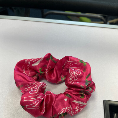 Scrunchie Used For Photos