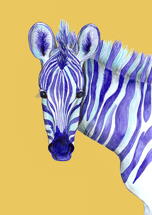 Zebra illustration print