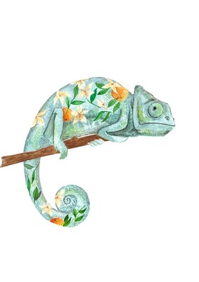 Chamaleon illustration print