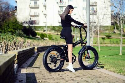 Ifold 20 Fat I Bike