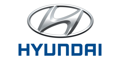 Hyundai Flex Fuel Modules