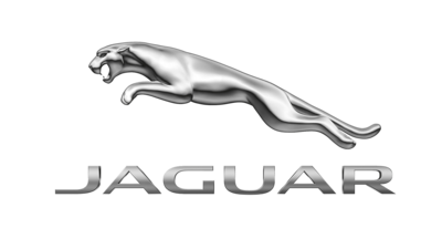 Jaguar Flex Fuel Modules