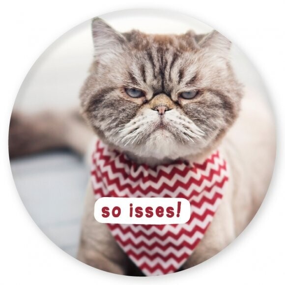 Magnet: Katze - So isses! HC 56 mm Magnet: Katze - So isses! HC 56 mm