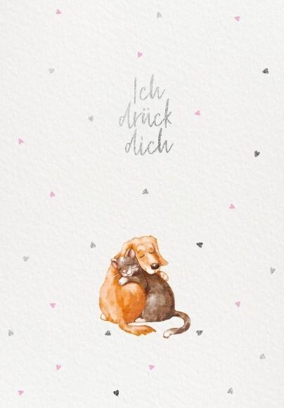 Postkarte: Ich drück Dich! Hund und Katze.