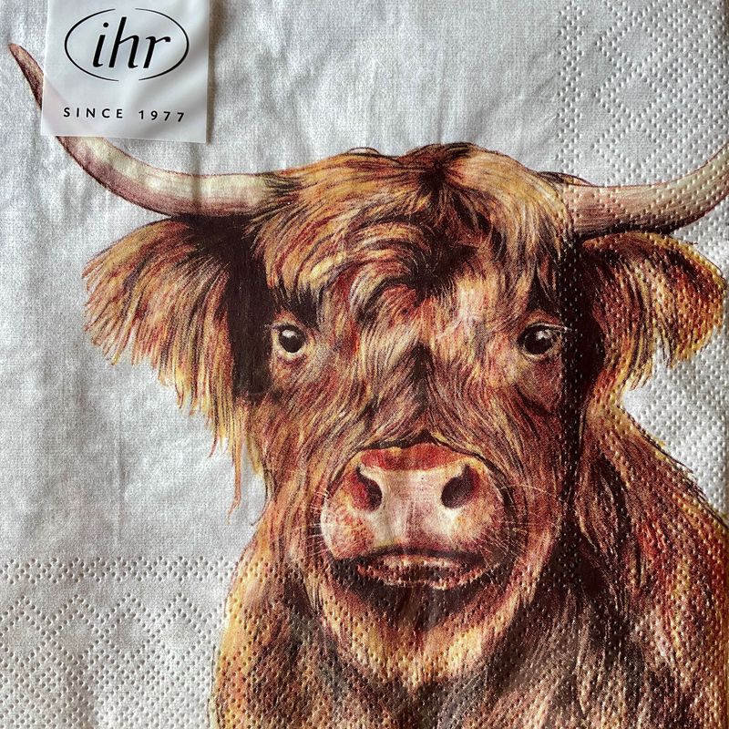 Highland Kuh Muh Rind Servietten 33x33 cm 20 Stück Highland Kuh Muh Rind Servietten 33x33 cm 20 Stück