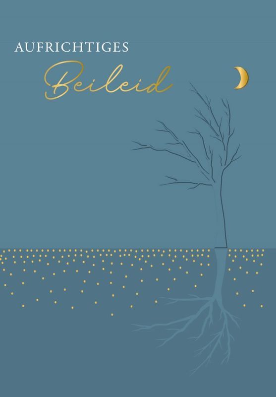 Doppelkarte hoch: Aufrichtiges Beileid - Mond