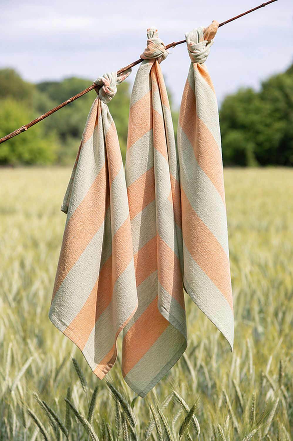 Blockstreifen Trockentuch Salbei/Ocker 50 x 70 cm – 100 % Baumwolle 1 St.? Blockstreifen Trockentuch Salbei/Ocker 50 x 70 cm – 100 % Baumwolle 1 St.?