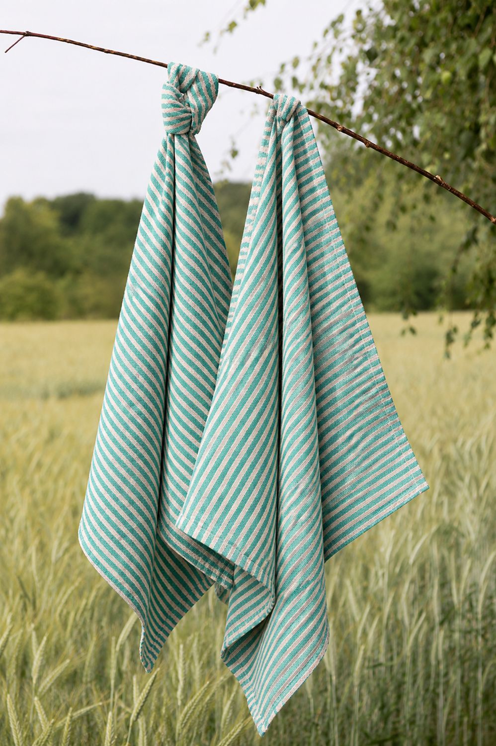 Streifen Trockentuch Türkis/Rosé 50 x 70 cm – 100 % Baumwolle ? 1 Stück Streifen Trockentuch Türkis/Rosé 50 x 70 cm – 100 % Baumwolle ? 1 Stück