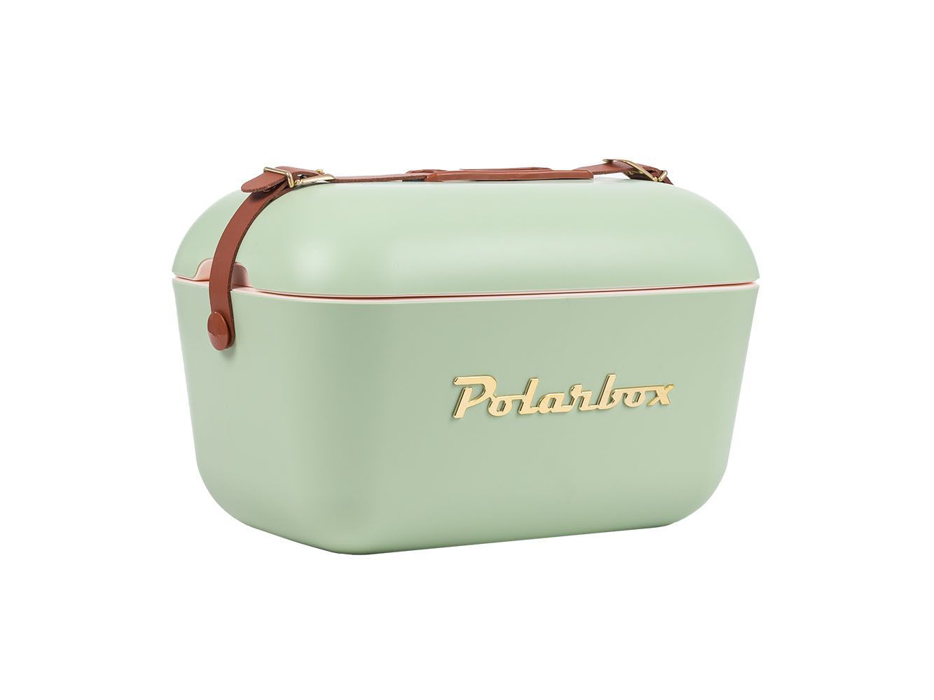 Polarbox Kühlbox 20 Liter MintOliv mit beigem Innenraum & Gold-Logo ? Polarbox Kühlbox 20 Liter MintOliv mit beigem Innenraum & Gold-Logo ?