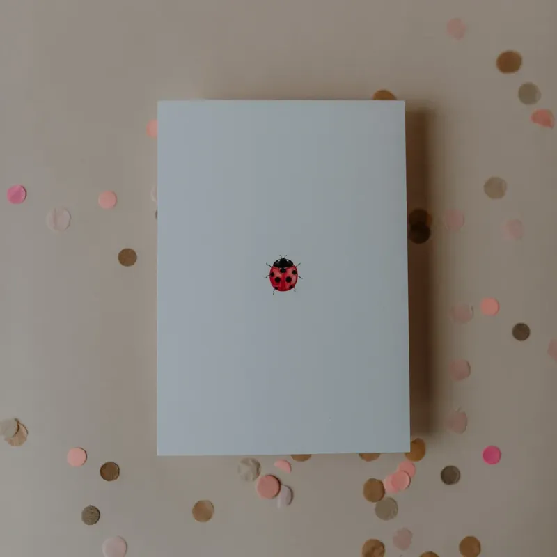 Aquarellkarte Ladybug – Grußkarte mit Marienkäfer ? Aquarellkarte Ladybug – Grußkarte mit Marienkäfer ?