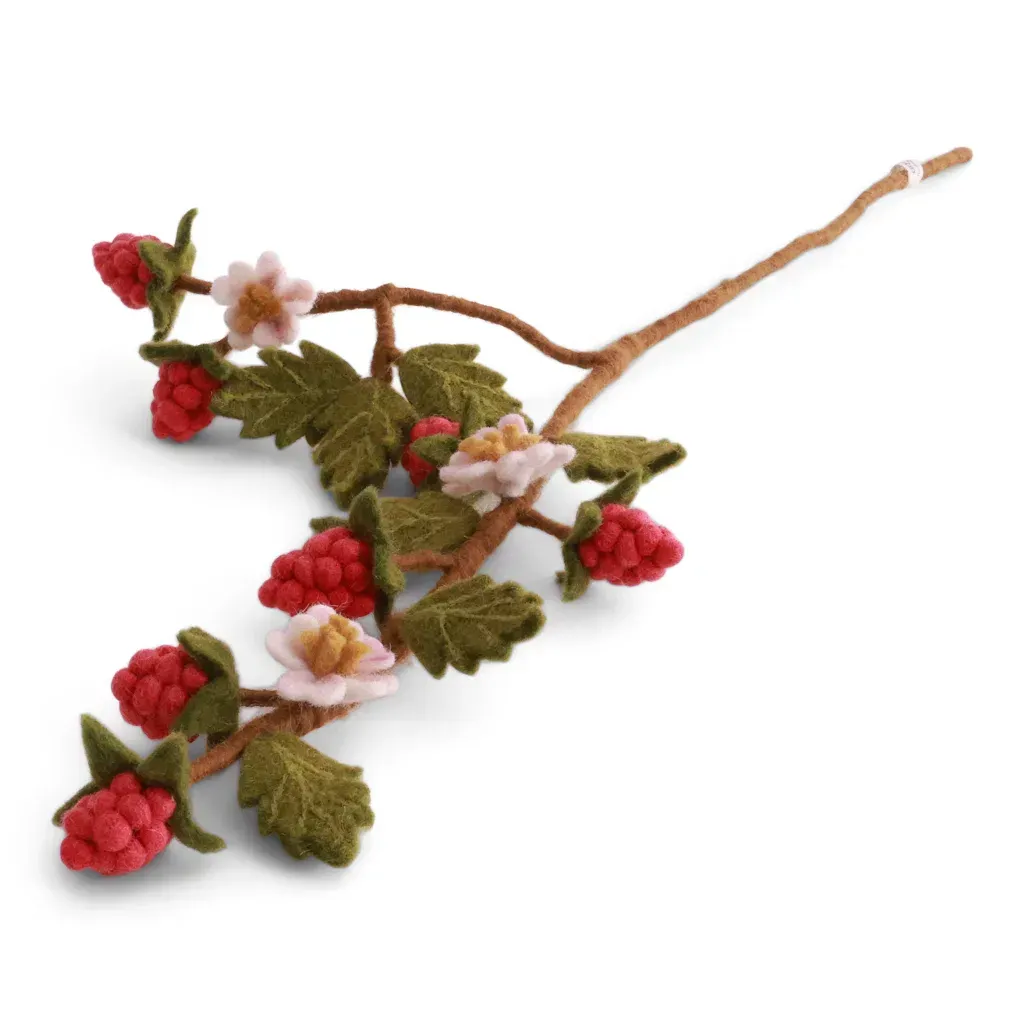 Himbeerzweig mit gefilzten Himbeeren und Blüten – 60 cm | Handgefertigter Dekozweig aus Wollfilz für Vasen & natürliche Sommerdeko ? Himbeerzweig mit gefilzten Himbeeren und Blüten – 60 cm | Handgefertigter Dekozweig aus Wollfilz für Vasen & natürliche Sommerdeko ?