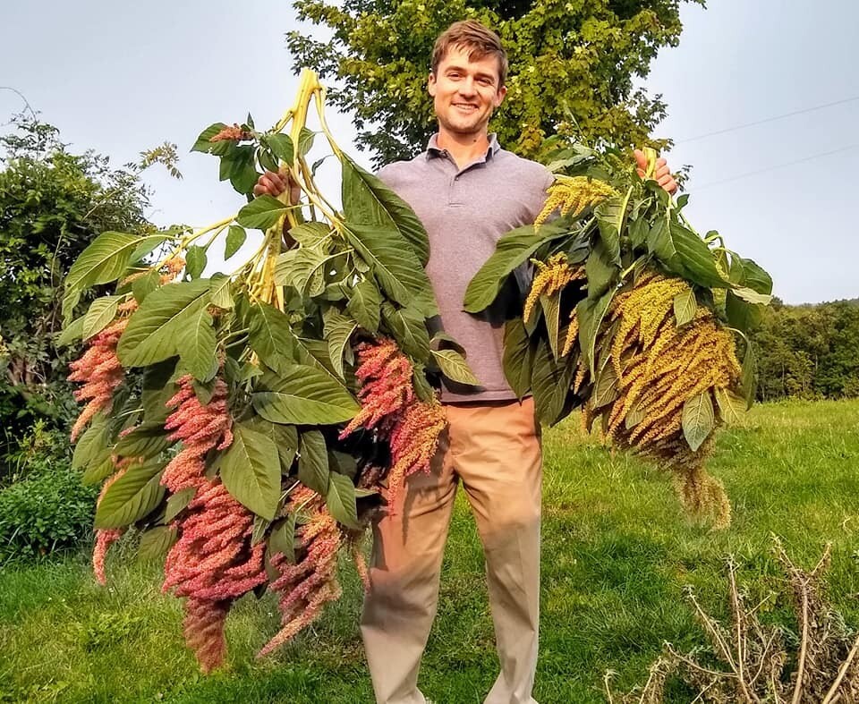 Permaculture Design Course - June 2026